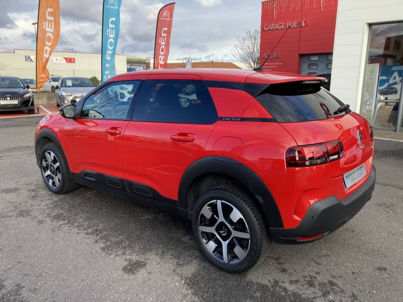 CACTUS PURETECH 110 BVM6 Shine