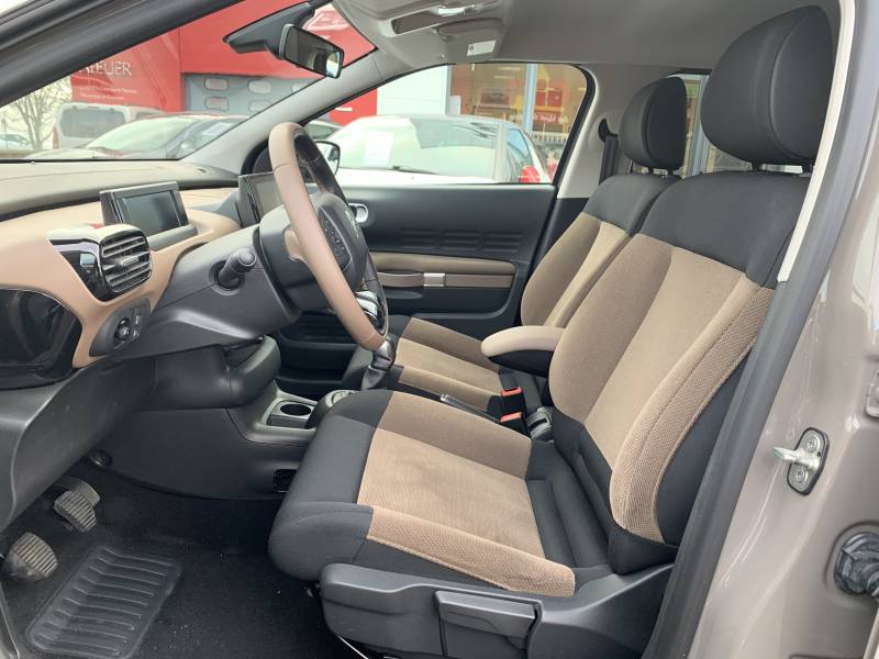 CACTUS OCCASION RIOM